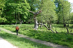 080517_064.JPG