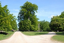 080517_066.JPG