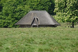 080517_068.JPG