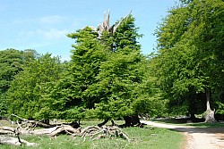 080517_070.JPG