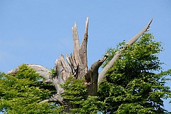 080517_071.JPG