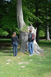 080517_073.JPG