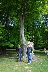 080517_074.JPG