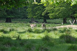 080517_075.JPG