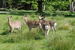 080517_092.JPG