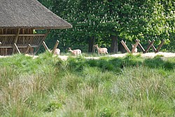 080517_098.JPG