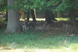 080517_099.JPG