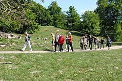 080517_100.JPG