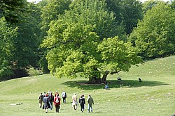 080517_107.JPG