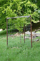 080517_108.JPG