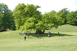 080517_110.JPG