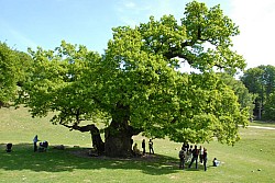 080517_117.JPG