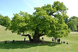 080517_119.JPG