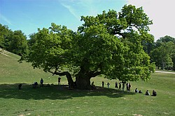 080517_123.jpg