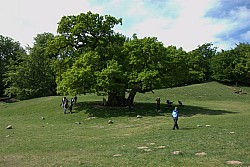 080517_125.jpg