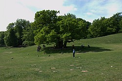080517_127.jpg