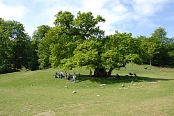 080517_128.JPG