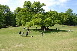 080517_130.JPG