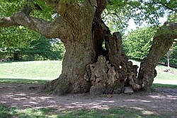 080517_133.JPG