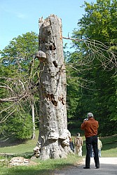080517_134.JPG