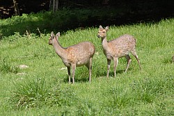 080517_140.JPG