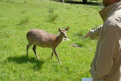 080517_147.JPG