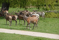 080517_179.JPG