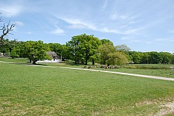 080517_180.JPG