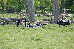 080517_181.JPG