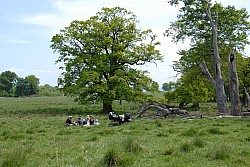 080517_182.JPG