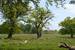 080517_184.JPG
