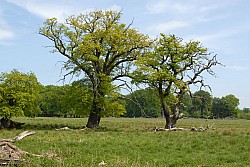080517_185.JPG