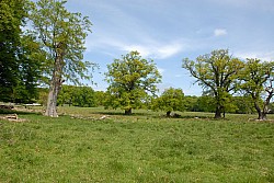 080517_186.JPG