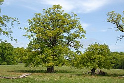 080517_187.JPG