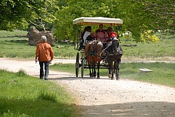 080517_190.JPG