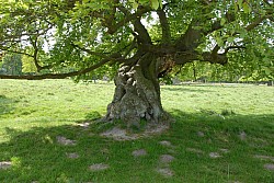 080517_194.JPG