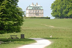 080517_195.JPG