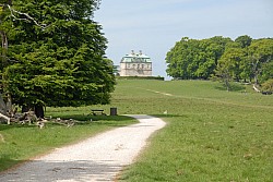 080517_196.JPG