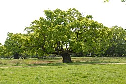 080517_198.JPG