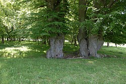 080517_199.JPG