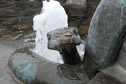 080517_312.JPG