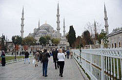 DSC_3507.jpg